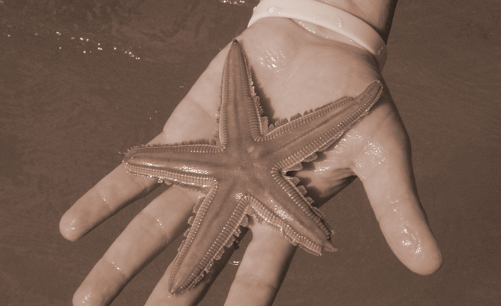 Starfish